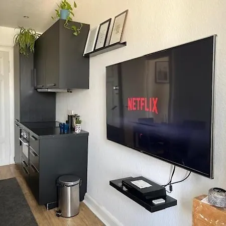 Appartement Cosy Rent Orangerie Tv Wifi Cathedrale Strasbourg
